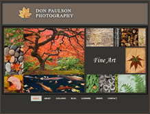 Tablet Screenshot of donpaulson.com